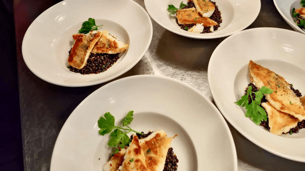 Zander / Fisch Zander / Fisch